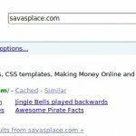 Sava's Place Now Has Google SiteLinks