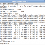 How To Download Youtube Videos From Terminal On Ubuntu