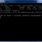 Importing a large MySQL database from Linux Terminal